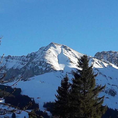 Chalet Allmegrat Adelboden Ngoại thất bức ảnh