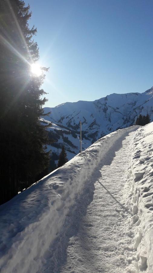 Chalet Allmegrat Adelboden Ngoại thất bức ảnh