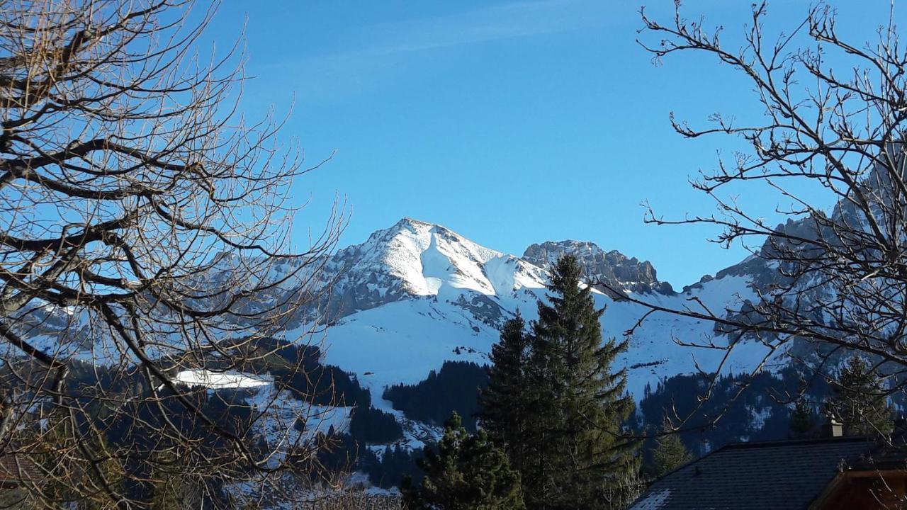 Chalet Allmegrat Adelboden Ngoại thất bức ảnh