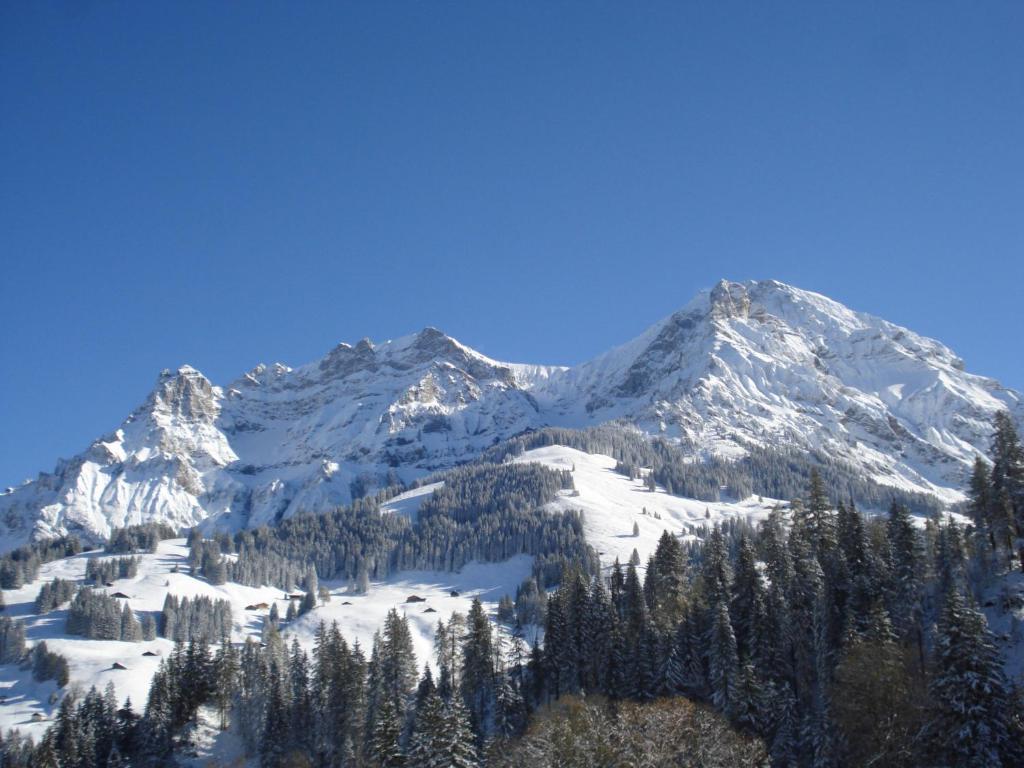 Chalet Allmegrat Adelboden Ngoại thất bức ảnh