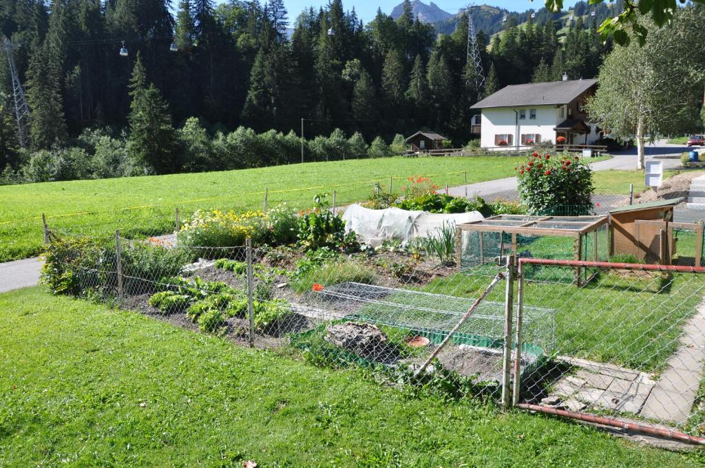 Chalet Allmegrat Adelboden Ngoại thất bức ảnh