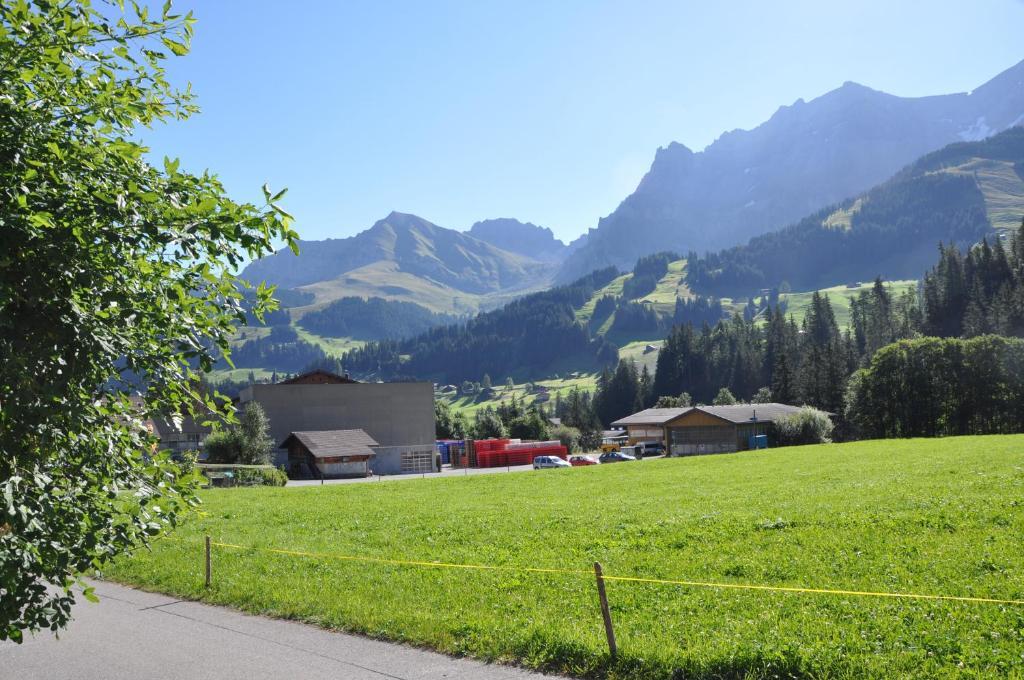 Chalet Allmegrat Adelboden Ngoại thất bức ảnh